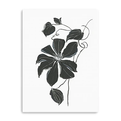 Midnight Climber I Canvas Giclee