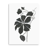 Midnight Climber I Canvas Giclee