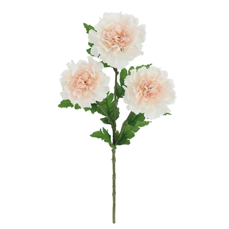 25" Light Pink Scabiosa Stem by Ashland®
