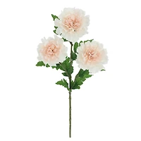 25" Light Pink Scabiosa Stem by Ashland®