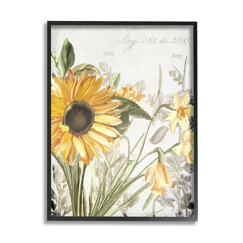 Stupell Industries Soft Sunflower Floral Framed Wall Art