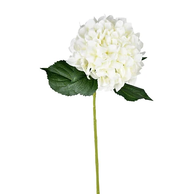 White Hydrangea Stem, 2ct.