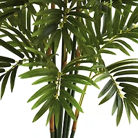 3ft. Potted Areca Palm Tree