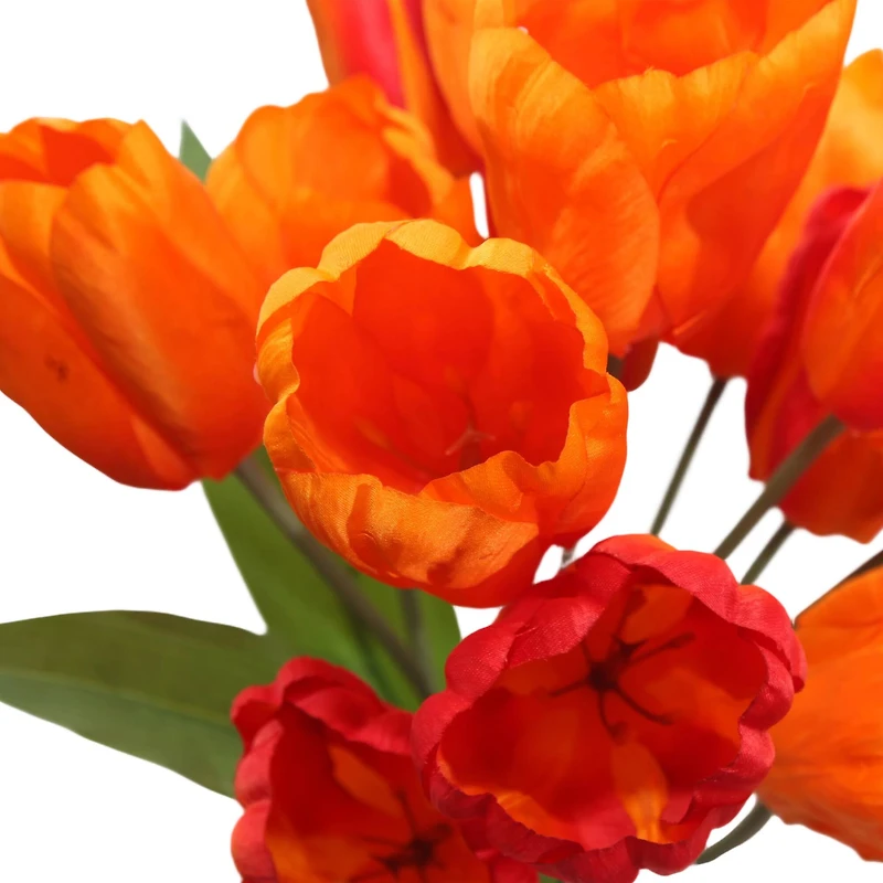 19" Tulip Bush by Ashland