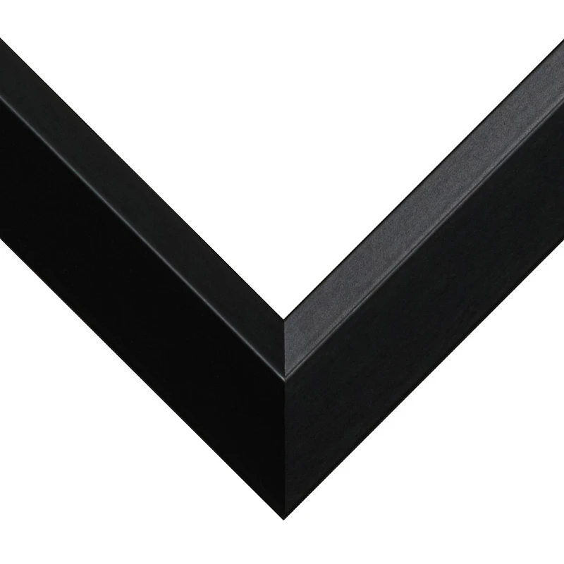 Frame USA Black Series Narrow Black Single Image Picture Frame with Mat