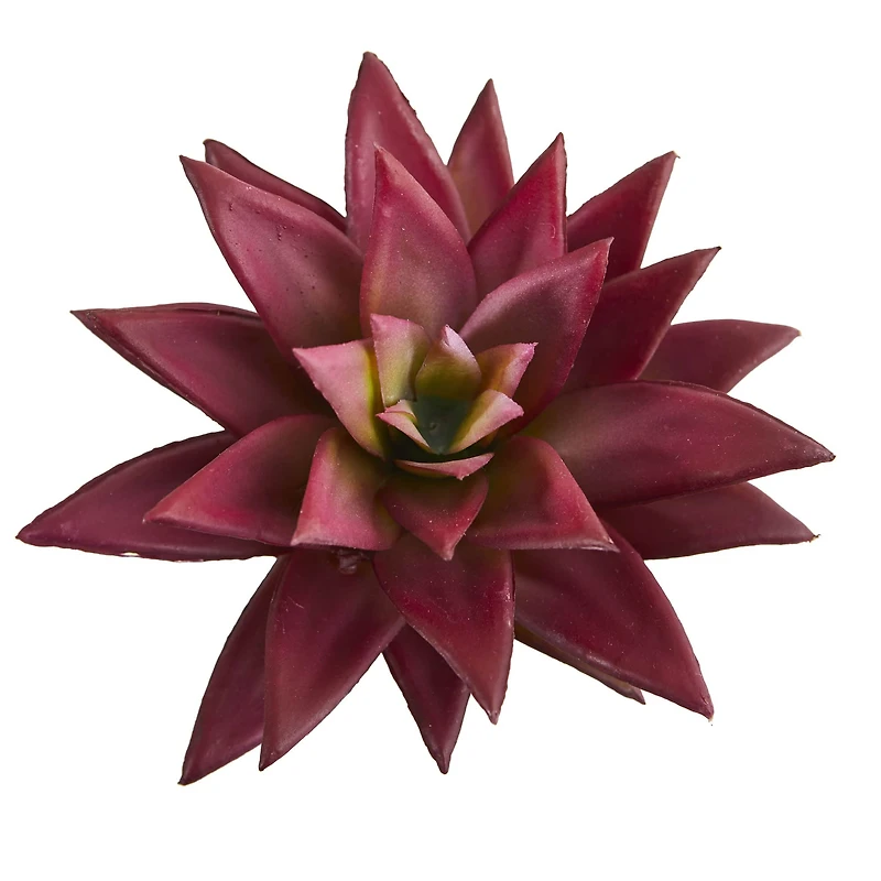 Burgundy Agave Succulent Pick, 12ct.