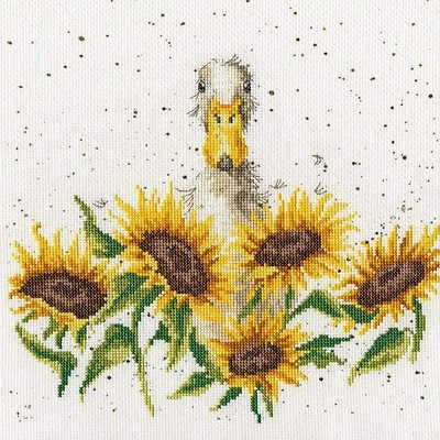 Bothy Threads Sunshine Counted Cross Stitch Kit