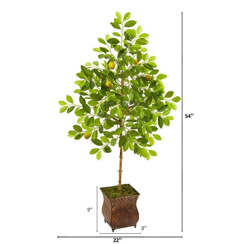 4.5ft. Lemon Tree in Decorative Planter