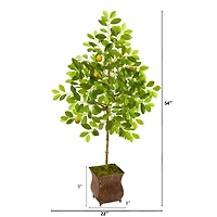 4.5ft. Lemon Tree in Decorative Planter