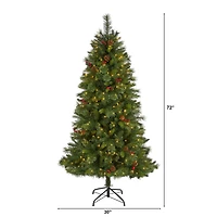 6ft. Pre-Lit Aberdeen Spruce Artificial Christmas Tree, Clear LED Lights