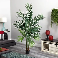 6ft. Potted Kentia Palm Tree