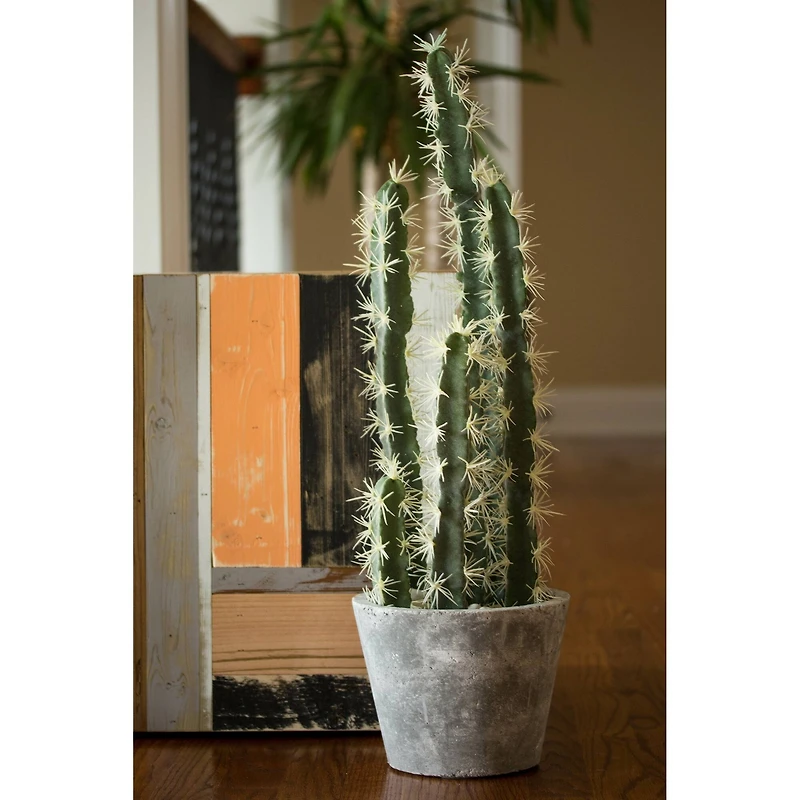 2ft. Cactus Garden In Cement Planter
