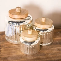 The Novogratz Silver Glass Farmhouse Decorative Jar Set