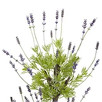 4ft. Potted Lavender Topiary Tree