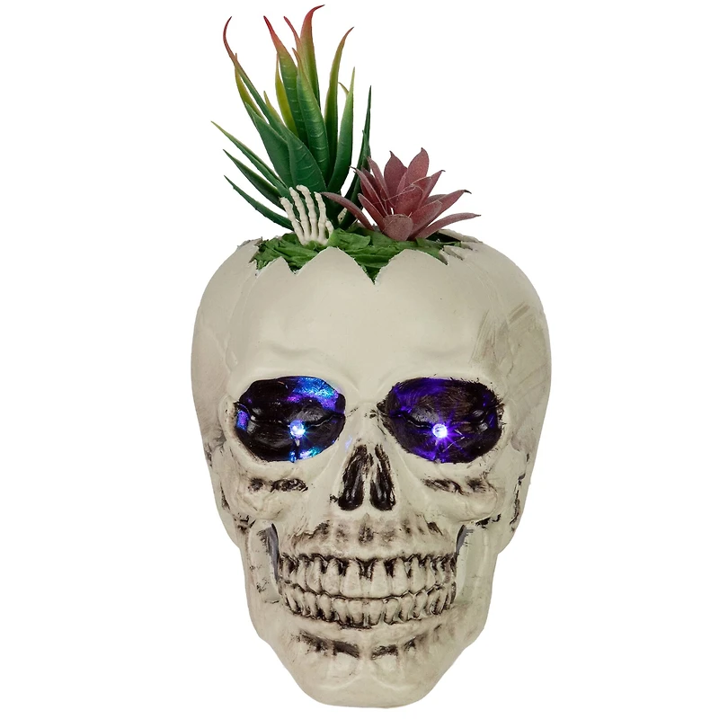 9" LED Lighted Succulent Halloween Skull Planter