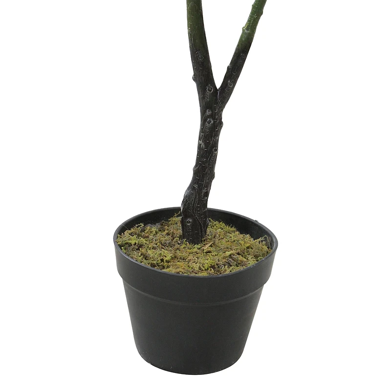 4 ft. Two-Tone Potted Wide Fiddle Leaf Floor Plant