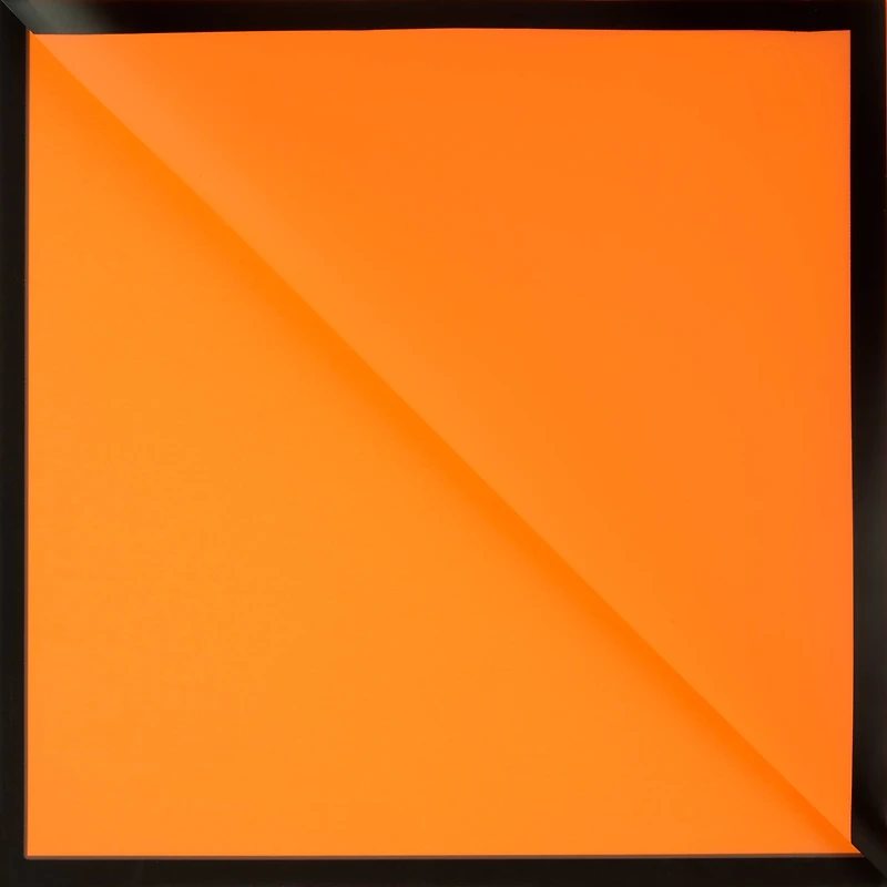 Orange with Black Border Floral Wrapping Paper by Ashland®