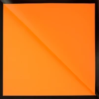 Orange with Black Border Floral Wrapping Paper by Ashland®