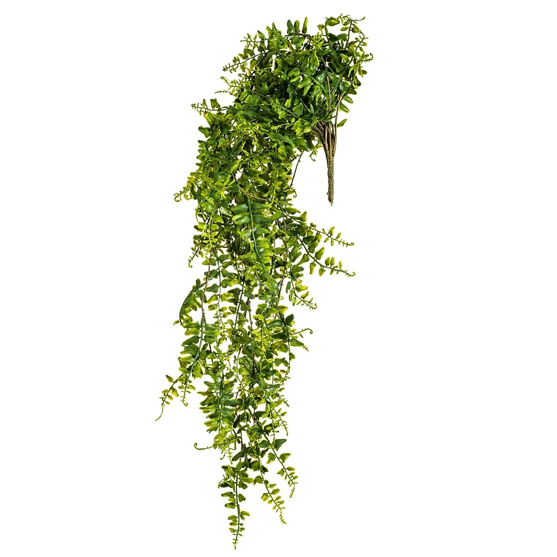 2.5ft. Green Buckler Fern Vine