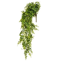 2.5ft. Green Buckler Fern Vine