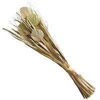 40" Green Dried Plant Bouquet Grass Natural Foliage with Fan Like Palm Leaves