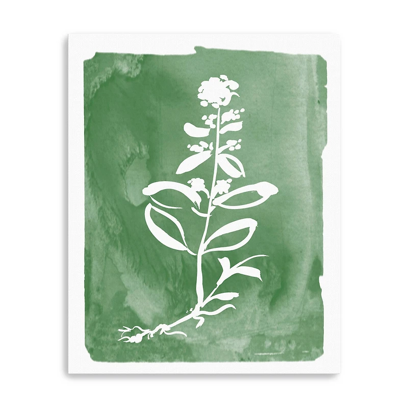 Green Botanical III Canvas Giclee