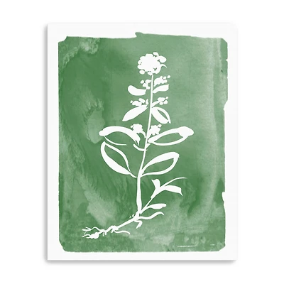 Green Botanical III Canvas Giclee