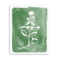 Green Botanical III Canvas Giclee