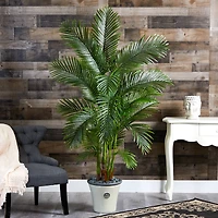 5.75ft. Areca Palm Tree in Decorative Planter