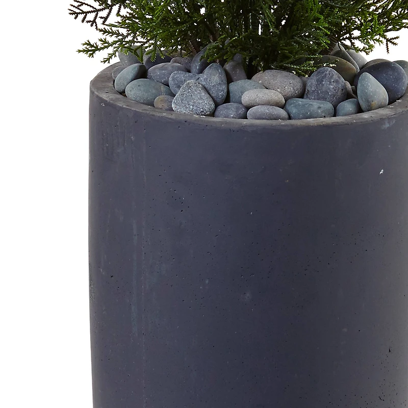 4ft. Cedar in Cylinder Planter