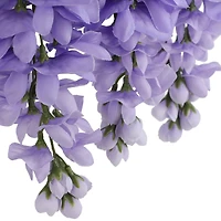 Purple Wisteria Bush by Ashland®