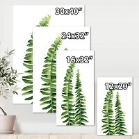 Designart - Fern Leaves Detail IV