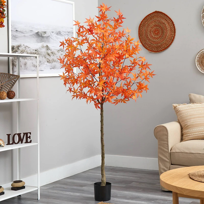 6ft. Potted Orange Autumn Maple Tree