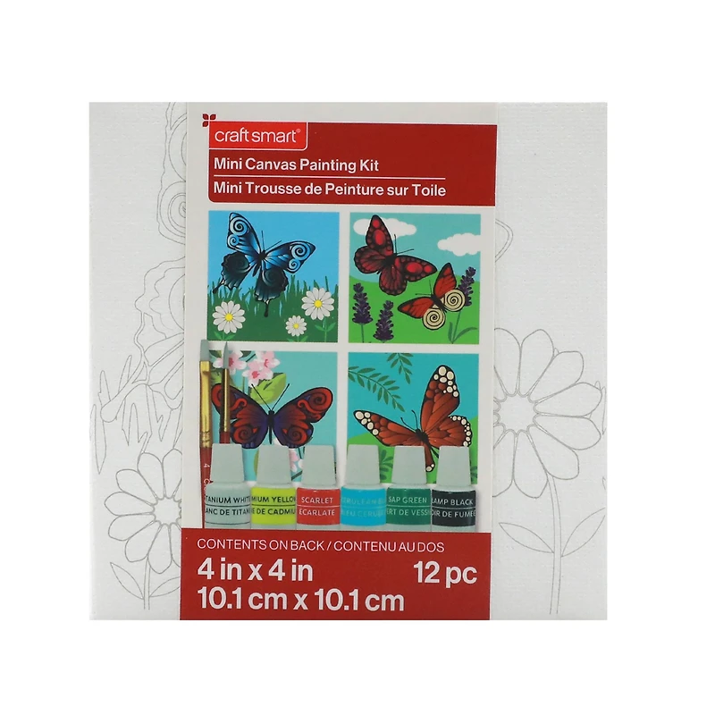 Butterflies Mini Canvas Painting Kit by Craft Smart®