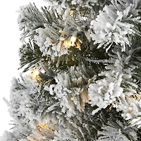3ft. Pre-Lit Flocked West Virginia Fir Artificial Christmas Tree, Clear LED Lights