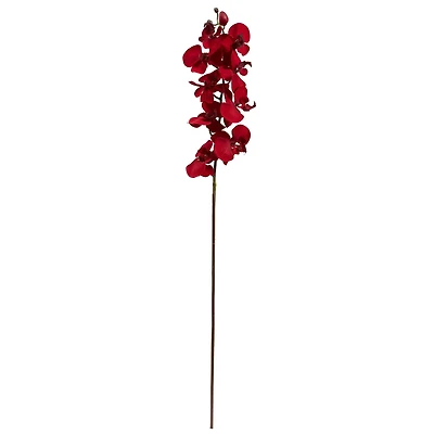 Christmas Red Moth Orchid Pick, 4ct.