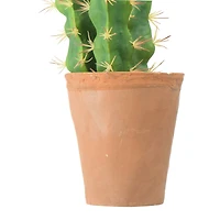 Hello Honey® 18" Cereus Cactus in Terra Cotta Colored Pot