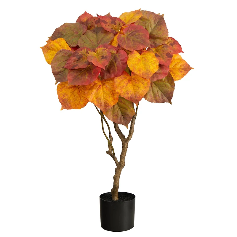3ft. Orange Autumn Umbrella Ficus Tree