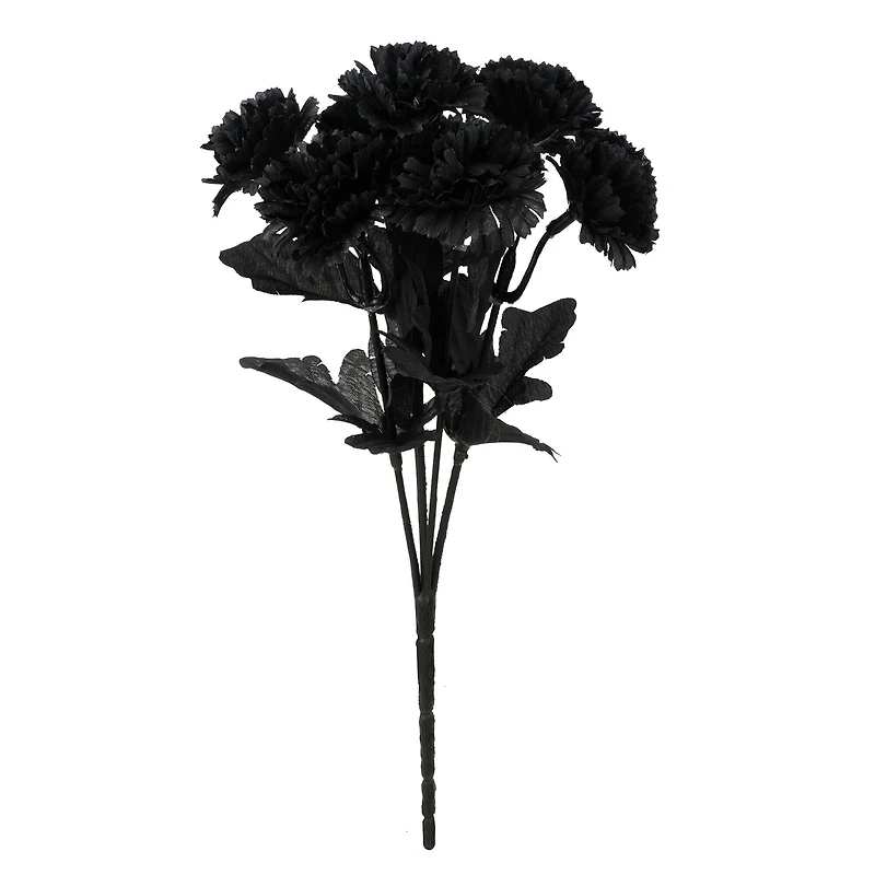 Halloween Mum Bush by Ashland