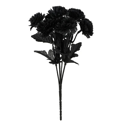 Halloween Mum Bush by Ashland