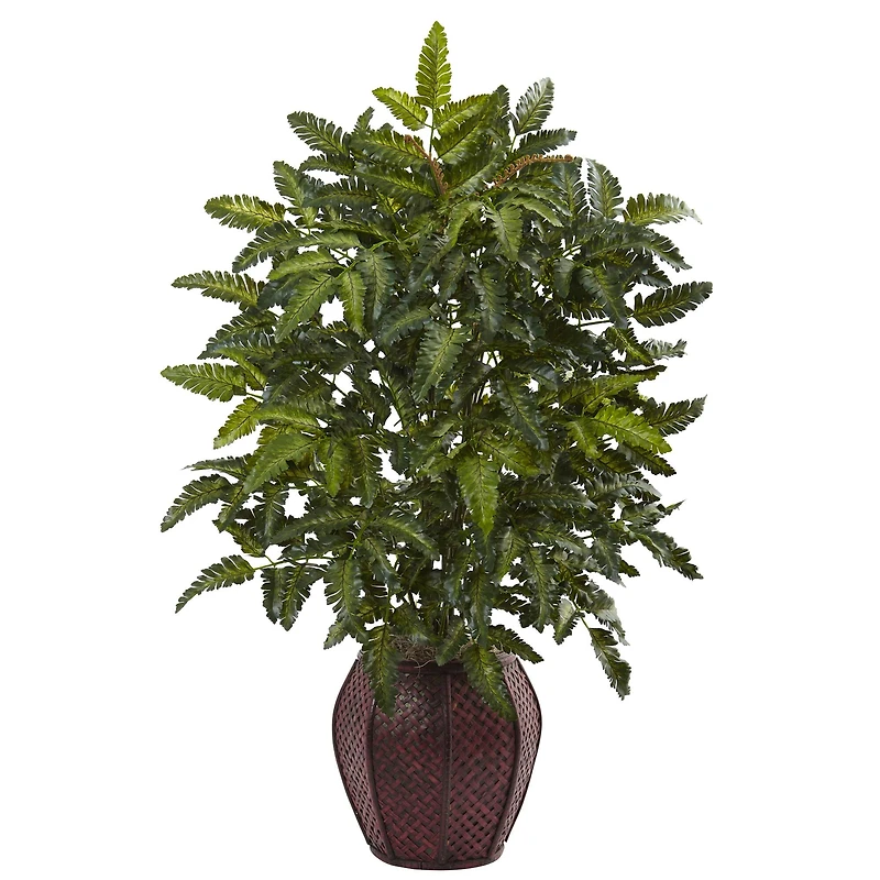 2.5ft. Bracken Fern in Decorative Planter