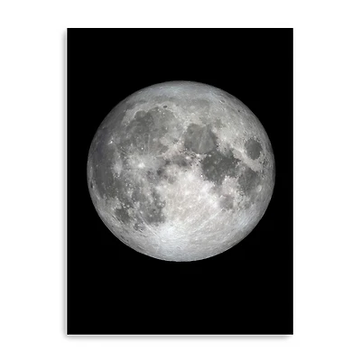 The Moon Canvas Giclee