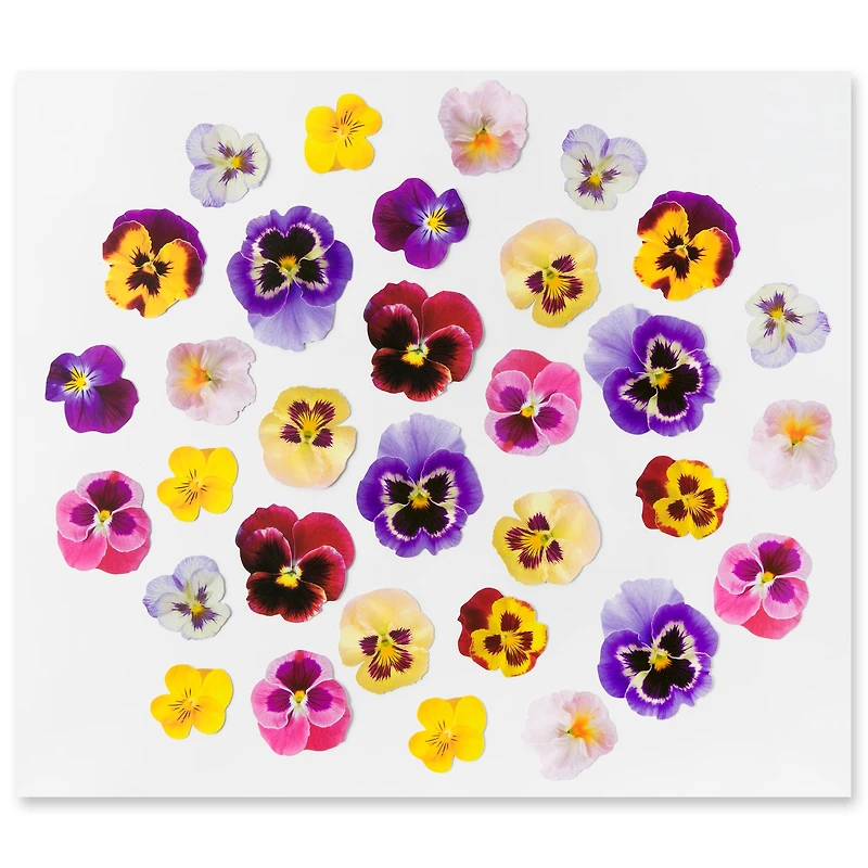 Pansy Die Cut Stickers by Recollections™