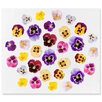 Pansy Die Cut Stickers by Recollections™