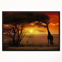 Designart - Typical African Sunset with Giraffe