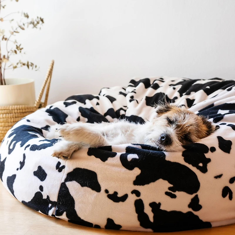 Poly-Fil® Biggie Bean Bag Filler, 16oz.