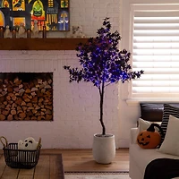 6ft. Pre-Lit Artificial Halloween Black Maple Tree with 300 Orange & Purple LED Lights