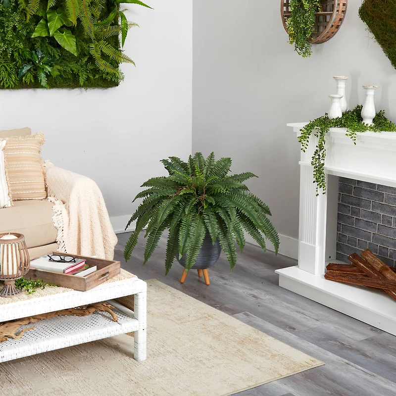 2.5ft. Boston Fern in Gray Planter with Legs