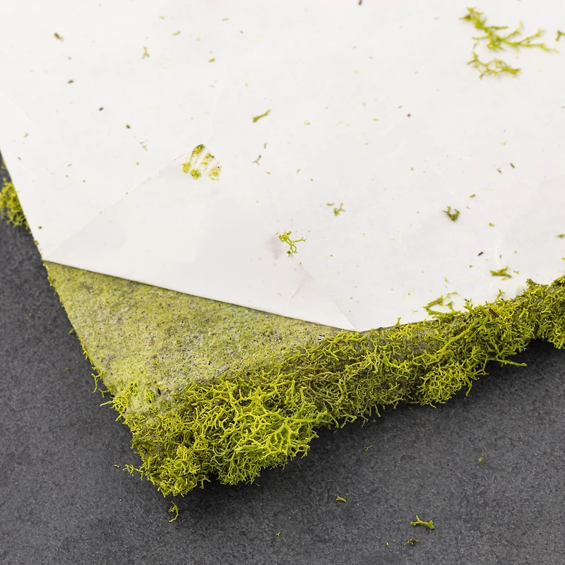 SuperMoss® Instant Green® Sticky All-Purpose Moss Mat