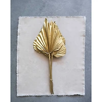 Hello Honey® Gold Finish Dried Natural Sun Cut Palm Bunch